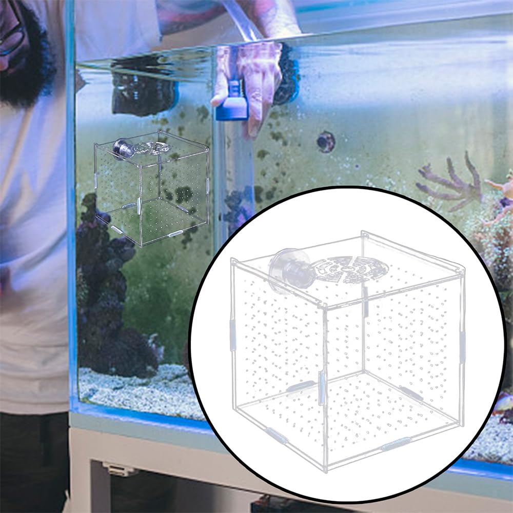 Amazon | SSZYMAOYI 稚魚 繁殖隔離ボックス 透明 アクリル